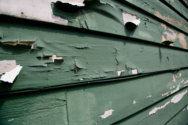 Best Siding for New Construction  in Window Rock, AZ