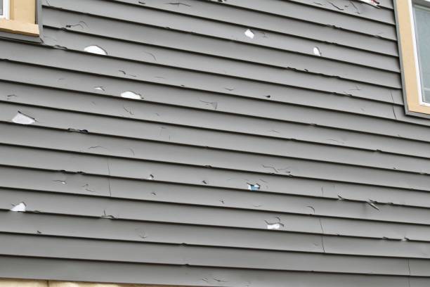 Affordable siding repair and maintenance services in Window Rock, AZ