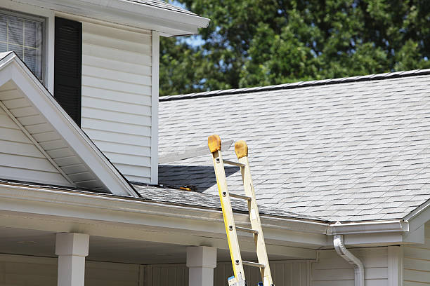 Best Historical Building Siding Restoration  in Window Rock, AZ